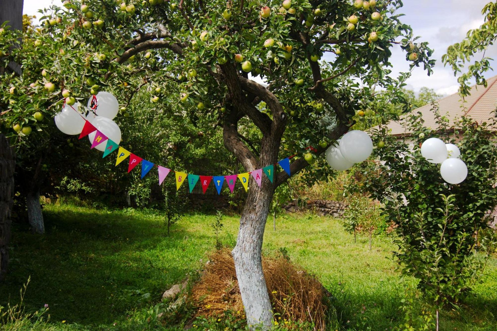K'arashamb Zove Rural Cottage With Garden Views מראה חיצוני תמונה
